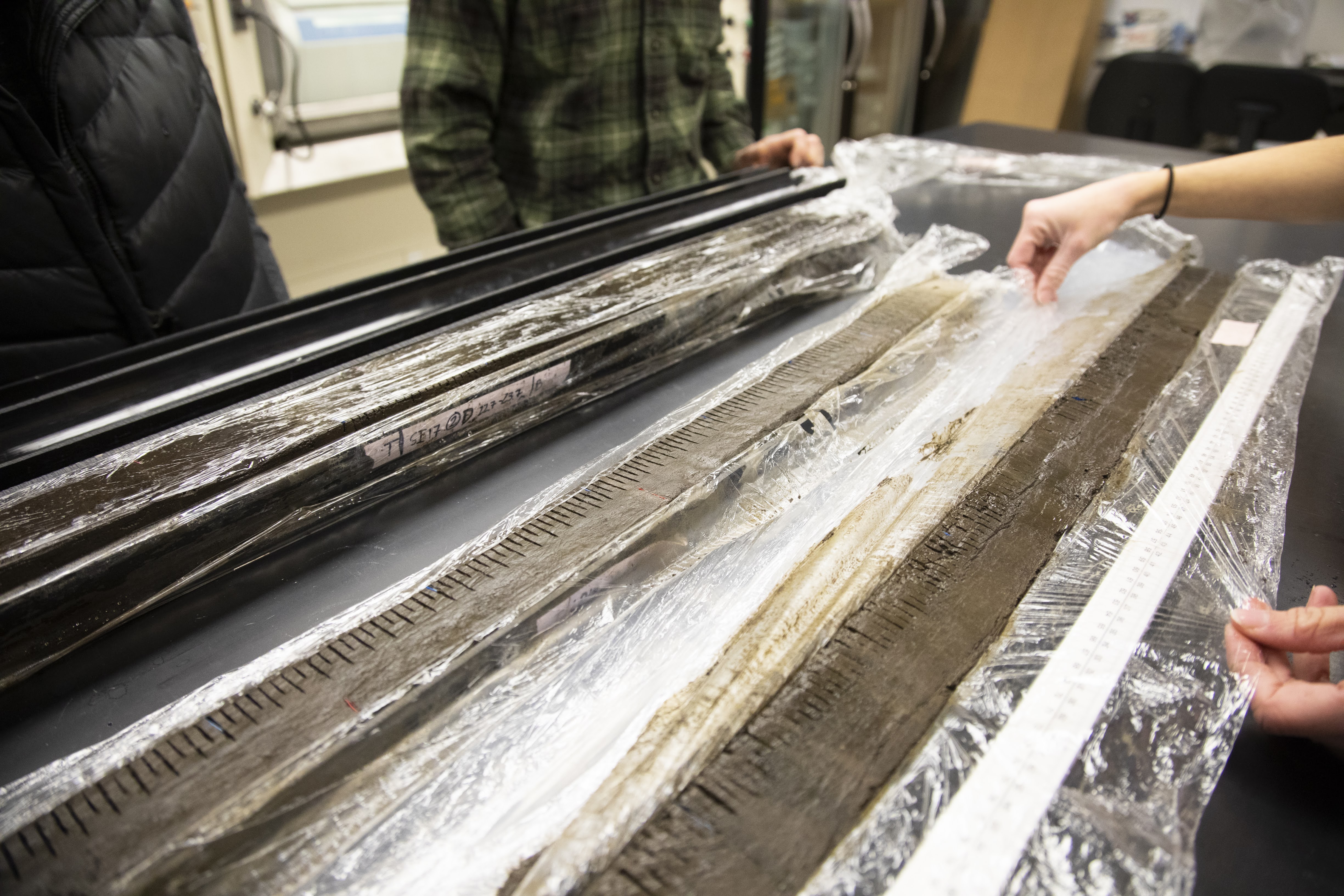 Split sediment core sections in the laboratory