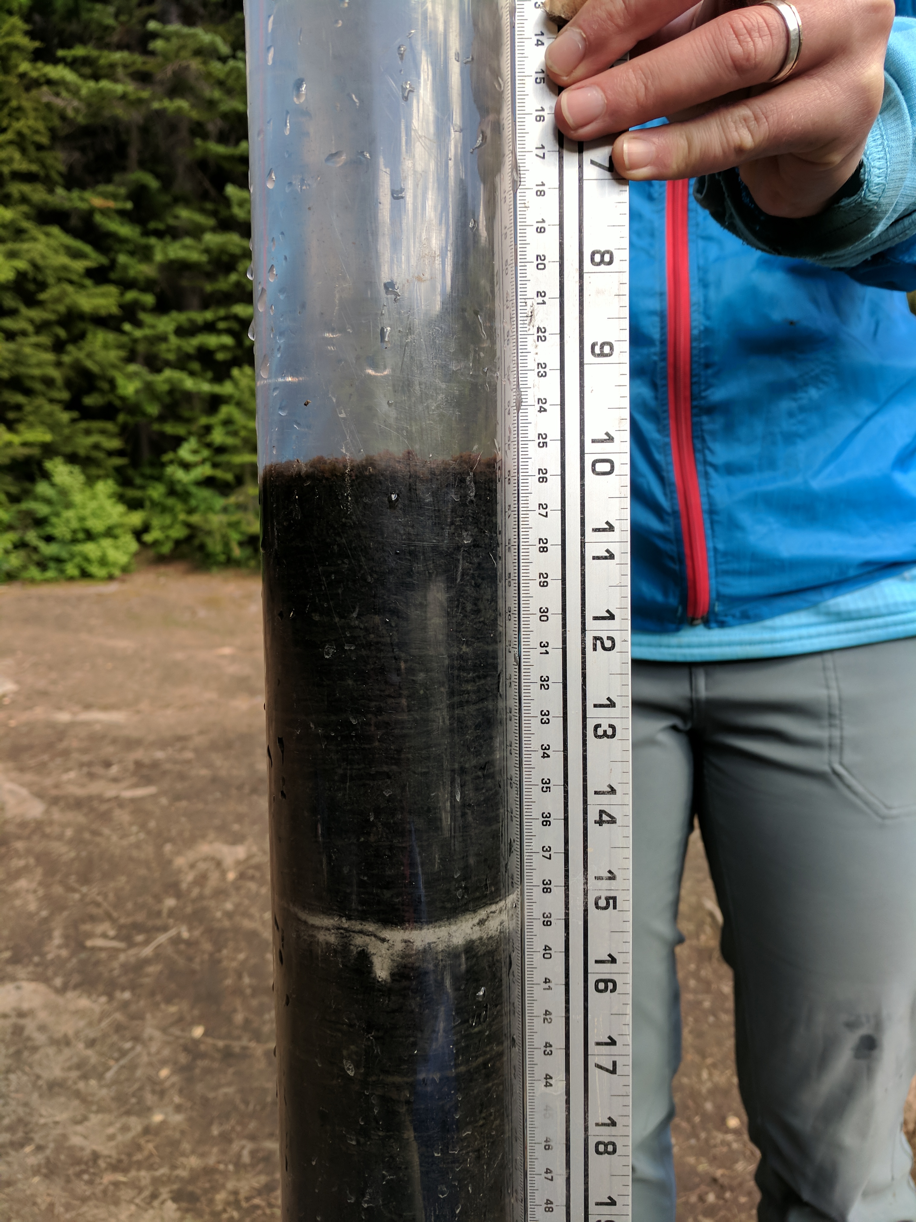 The short core from Silver Lake, Montana